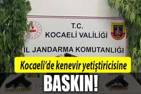 kocaeli kenevir