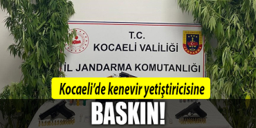kocaeli kenevir