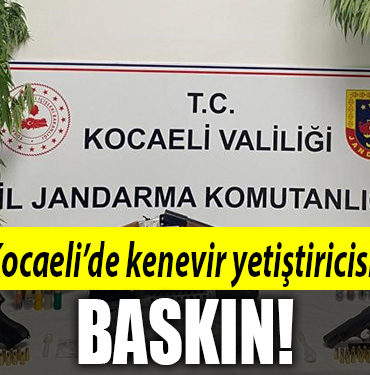 kocaeli kenevir