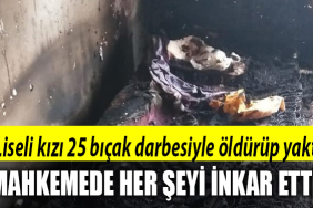 kocaeli liseli