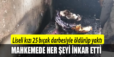 kocaeli liseli