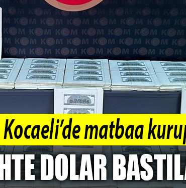 kocaeli matbaa
