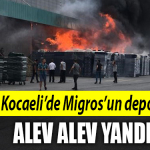 kocaeli migros