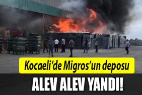 kocaeli migros