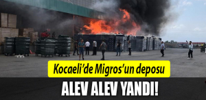 kocaeli migros