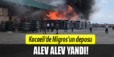 kocaeli migros