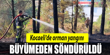 kocaeli orman yangınıı