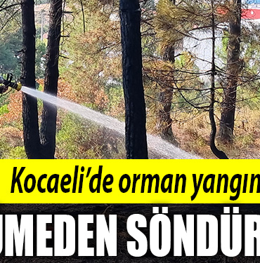 kocaeli orman yangınıı