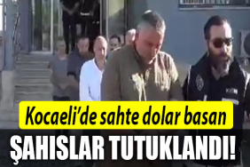 kocaeli sahte dolar
