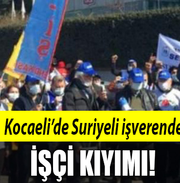 kocaeli suriyeli
