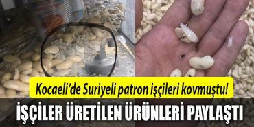 kocaeli suriyeli patron