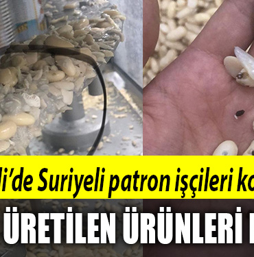 kocaeli suriyeli patron