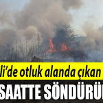 kocaeli yangın