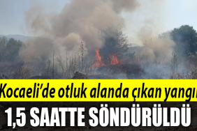 kocaeli yangın