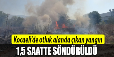 kocaeli yangın