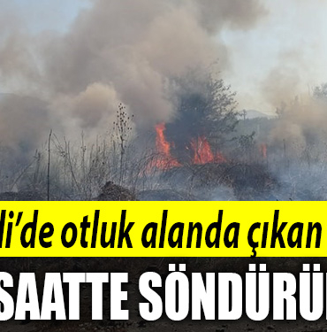 kocaeli yangın