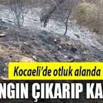 kocaeli yangın darıca