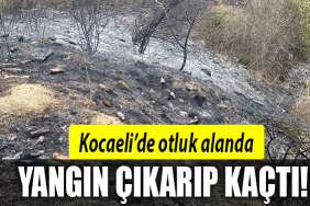 kocaeli yangın darıca