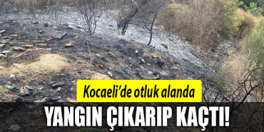 kocaeli yangın darıca
