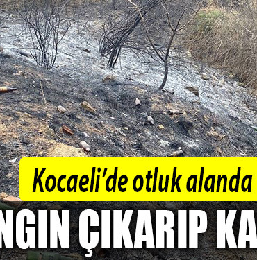 kocaeli yangın darıca