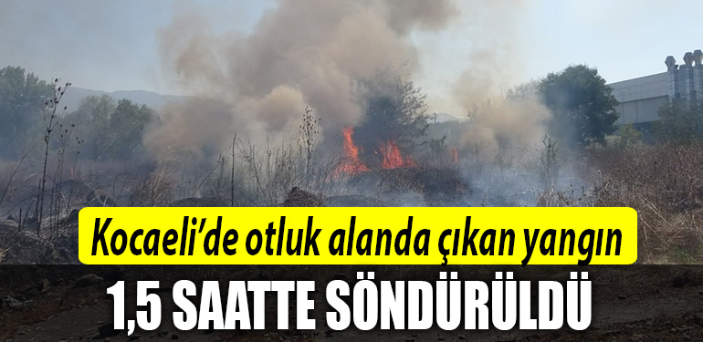 kocaeli yangın