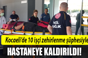 kocaeli zehirlenme
