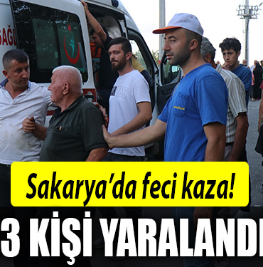sakarya kaza