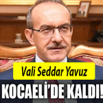 seddat yavuz kocaeli