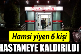 HAMSİ