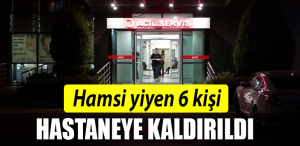 HAMSİ