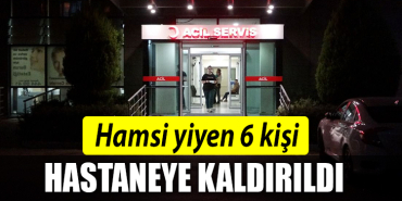 HAMSİ