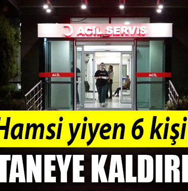 HAMSİ