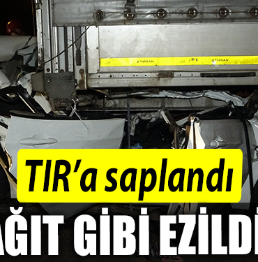 KAĞIT