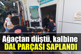 Kocaeli' de Ağaçtan düştü, kalbine dal parçası saplandı