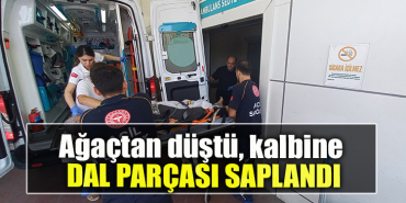 Kocaeli' de Ağaçtan düştü, kalbine dal parçası saplandı