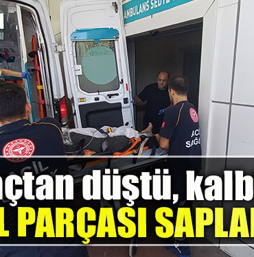 Kocaeli' de Ağaçtan düştü, kalbine dal parçası saplandı