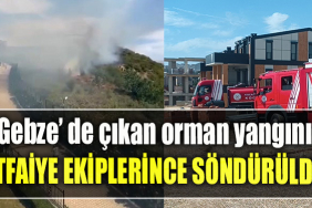 Kocaeli’de çıkan orman yangını söndürüldü