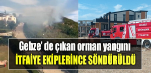 Kocaeli’de çıkan orman yangını söndürüldü