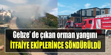 Kocaeli’de çıkan orman yangını söndürüldü