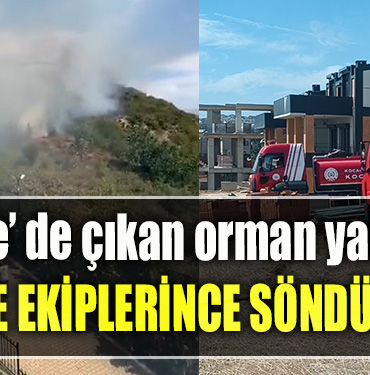 Kocaeli’de çıkan orman yangını söndürüldü