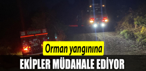 ORMAN