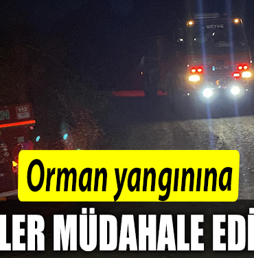 ORMAN