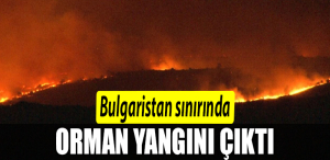 ORMANN