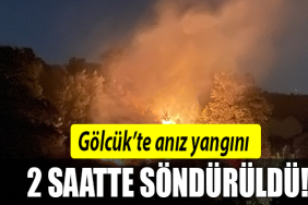 gölcük yangın