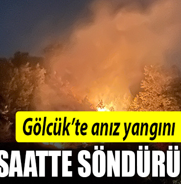 gölcük yangın