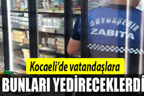 kocaeli denetim