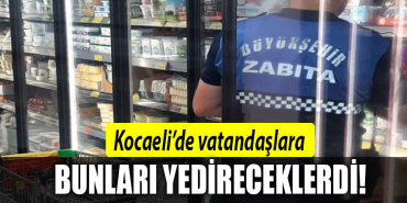 kocaeli denetim