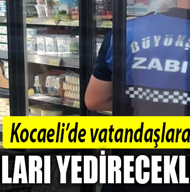kocaeli denetim