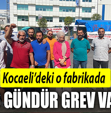 kocaeli fabrika