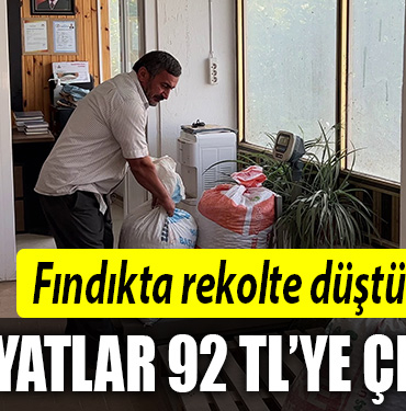 kocaeli fındık
